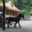 Szlak oscypka – Tatry, Pieniny