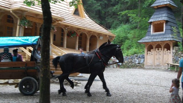 rusinowa-polana-wiktorowki-szlak-oscypka-oscypek-lipiec-2010-086