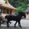 Szlak oscypka – Tatry, Pieniny