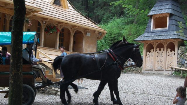 rusinowa-polana-wiktorowki-szlak-oscypka-oscypek-lipiec-2010-087