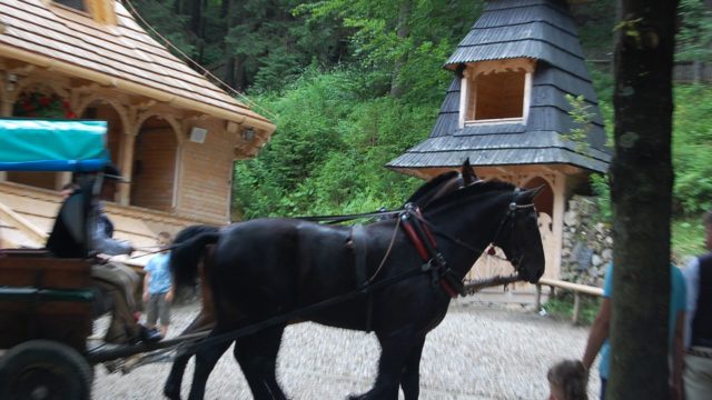 rusinowa-polana-wiktorowki-szlak-oscypka-oscypek-lipiec-2010-088