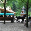 Szlak oscypka – Tatry, Pieniny