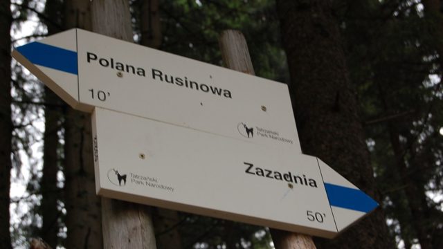 rusinowa-polana-wiktorowki-szlak-oscypka-oscypek-lipiec-2010-097