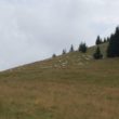 Szlak oscypka – Tatry, Pieniny