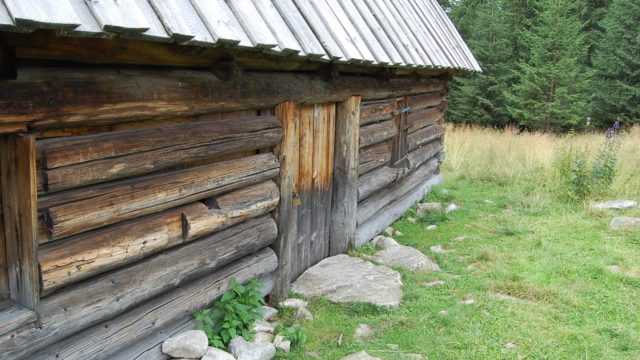 rusinowa-polana-wiktorowki-szlak-oscypka-oscypek-lipiec-2010-111