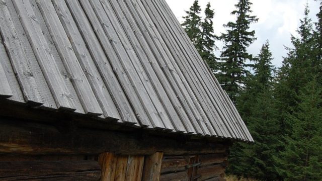 rusinowa-polana-wiktorowki-szlak-oscypka-oscypek-lipiec-2010-112