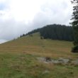 Szlak oscypka – Tatry, Pieniny