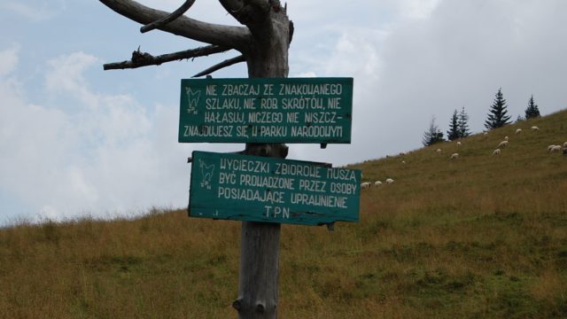 rusinowa-polana-wiktorowki-szlak-oscypka-oscypek-lipiec-2010-119