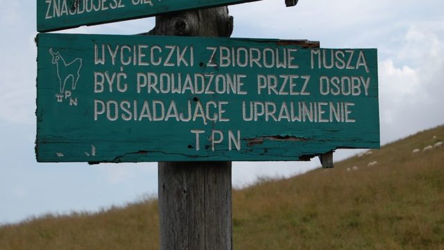 rusinowa-polana-wiktorowki-szlak-oscypka-oscypek-lipiec-2010-120