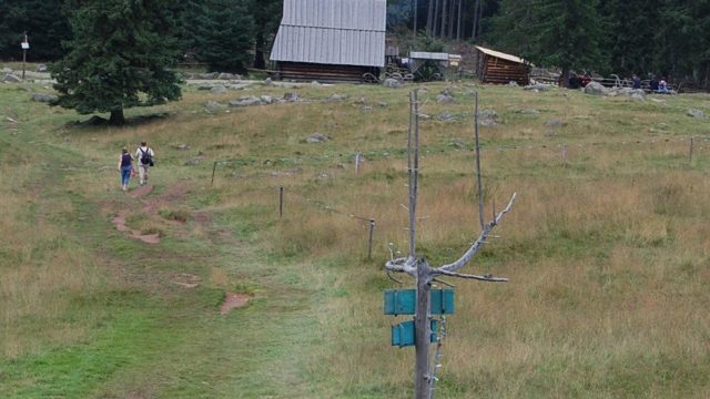 rusinowa-polana-wiktorowki-szlak-oscypka-oscypek-lipiec-2010-124