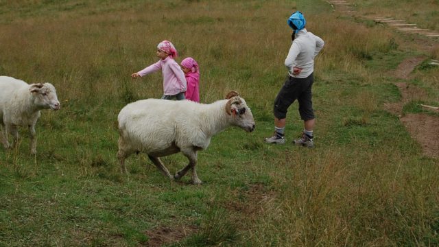 rusinowa-polana-wiktorowki-szlak-oscypka-oscypek-lipiec-2010-129