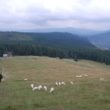 Szlak oscypka – Tatry, Pieniny