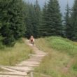 Szlak oscypka – Tatry, Pieniny