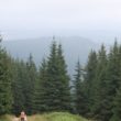 Szlak oscypka – Tatry, Pieniny