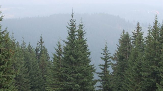 rusinowa-polana-wiktorowki-szlak-oscypka-oscypek-lipiec-2010-197