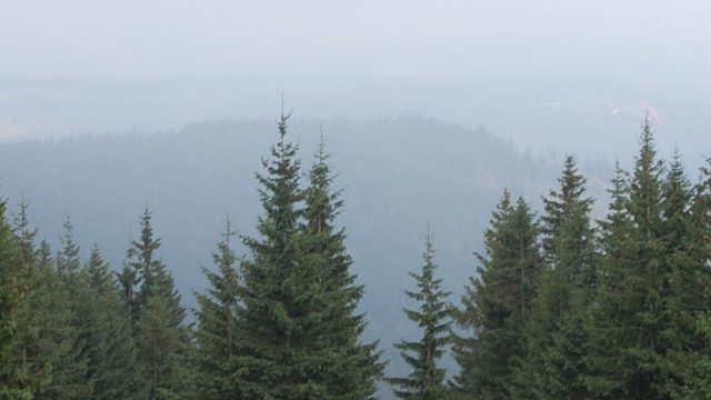 rusinowa-polana-wiktorowki-szlak-oscypka-oscypek-lipiec-2010-198