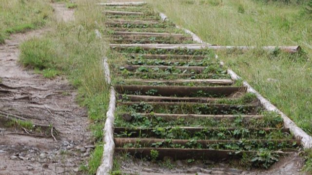 rusinowa-polana-wiktorowki-szlak-oscypka-oscypek-lipiec-2010-207