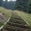 Szlak oscypka – Tatry, Pieniny