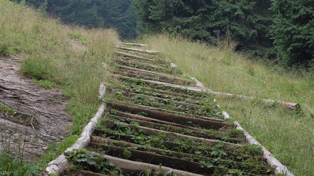 rusinowa-polana-wiktorowki-szlak-oscypka-oscypek-lipiec-2010-208