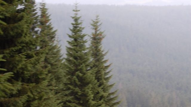 rusinowa-polana-wiktorowki-szlak-oscypka-oscypek-lipiec-2010-211