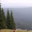 Szlak oscypka – Tatry, Pieniny