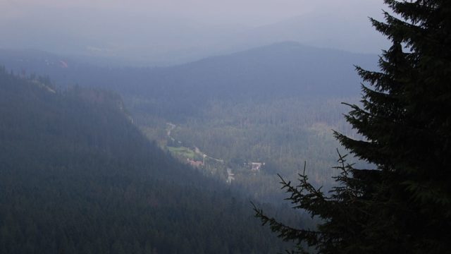 rusinowa-polana-wiktorowki-szlak-oscypka-oscypek-lipiec-2010-213