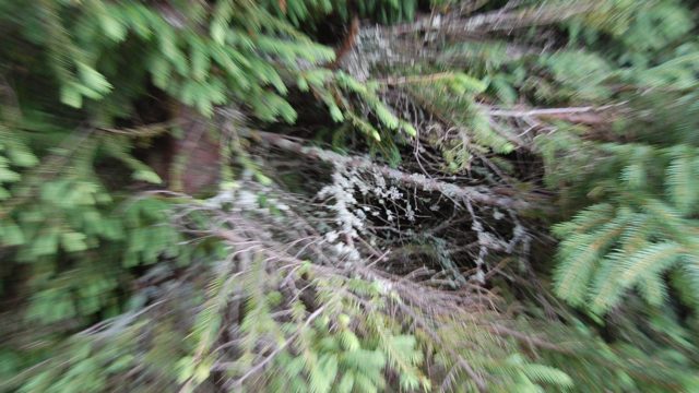 rusinowa-polana-wiktorowki-szlak-oscypka-oscypek-lipiec-2010-215