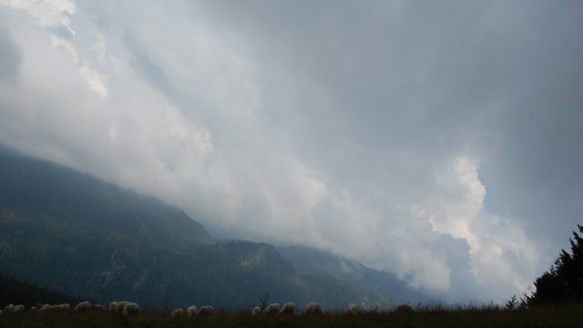 rusinowa-polana-wiktorowki-szlak-oscypka-oscypek-lipiec-2010-222