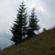 Szlak oscypka – Tatry, Pieniny