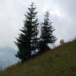 Szlak oscypka – Tatry, Pieniny