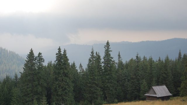 rusinowa-polana-wiktorowki-szlak-oscypka-oscypek-lipiec-2010-238