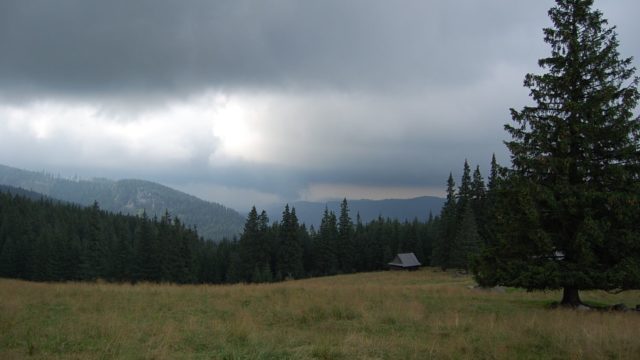 rusinowa-polana-wiktorowki-szlak-oscypka-oscypek-lipiec-2010-242