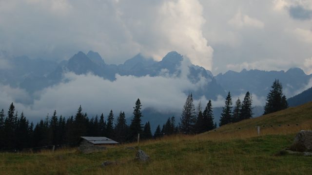 rusinowa-polana-wiktorowki-szlak-oscypka-oscypek-lipiec-2010-251