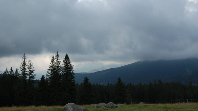 rusinowa-polana-wiktorowki-szlak-oscypka-oscypek-lipiec-2010-253