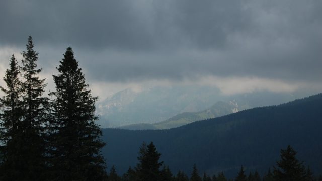 rusinowa-polana-wiktorowki-szlak-oscypka-oscypek-lipiec-2010-254