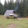 Szlak oscypka – Tatry, Pieniny