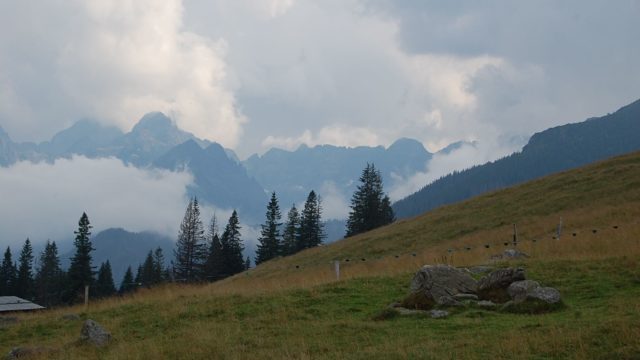 rusinowa-polana-wiktorowki-szlak-oscypka-oscypek-lipiec-2010-257