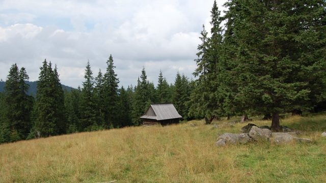 rusinowa-polana-wiktorowki-szlak-oscypka-oscypek-lipiec-2010-268