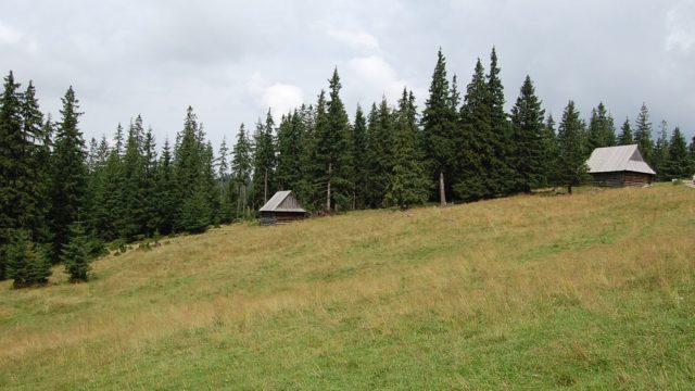 rusinowa-polana-wiktorowki-szlak-oscypka-oscypek-lipiec-2010-270