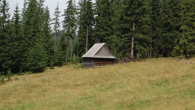 rusinowa-polana-wiktorowki-szlak-oscypka-oscypek-lipiec-2010-271