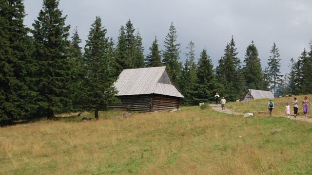 rusinowa-polana-wiktorowki-szlak-oscypka-oscypek-lipiec-2010-272