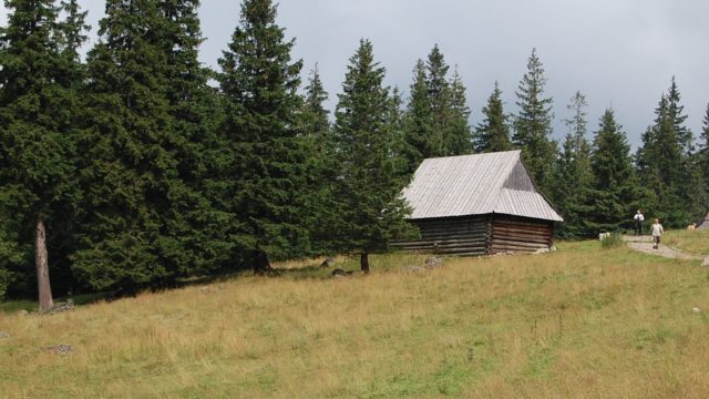 rusinowa-polana-wiktorowki-szlak-oscypka-oscypek-lipiec-2010-273