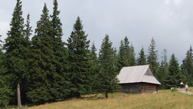 rusinowa-polana-wiktorowki-szlak-oscypka-oscypek-lipiec-2010-274