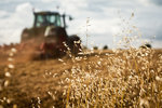 AgroFaktoring, Idea Money SA.jpg