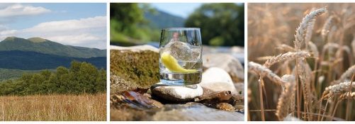 ZATRZYMAJ SIĘ I ODETCHNIJ. PRZENIEŚ SIĘ W BIESZCZADY Z FILMEM OSTOYA