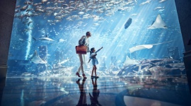 W Chinach otwarto luksusowy hotel pod szyldem Atlantis