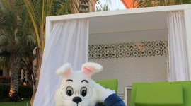 Atlantis, The Palm w Dubaju zaskakuje wielkanocnymi atrakcjami Podróże, LIFESTYLE - Choć Wielkanoc jest jednym z najważniejszych świąt celebrowanych w naszym kraju, coraz częściej odchodzimy od tradycyjnego sposobu ich spędzania i wybieramy świętowanie połączone z wypoczynkiem za granicą.