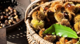 Sezon na młode wino i kasztany w gospodarstwach Roter Hahn Podróże, LIFESTYLE - Południowy Tyrol położony w północnych Włoszech zachwyca o każdej porze roku. Malowniczą jesienią gospodarstwa Roter Hahn zapraszają na klimatyczny wypoczynek w pięknych okolicznościach przyrody połączony z odkrywaniem niezwykłej kultury i tradycji regionu i jego mieszkańców.